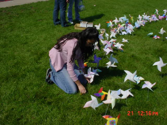CarolR plants her Pinwheel
