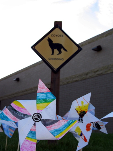 Pinwheels4Peace 014