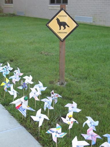 Pinwheels4Peace 010