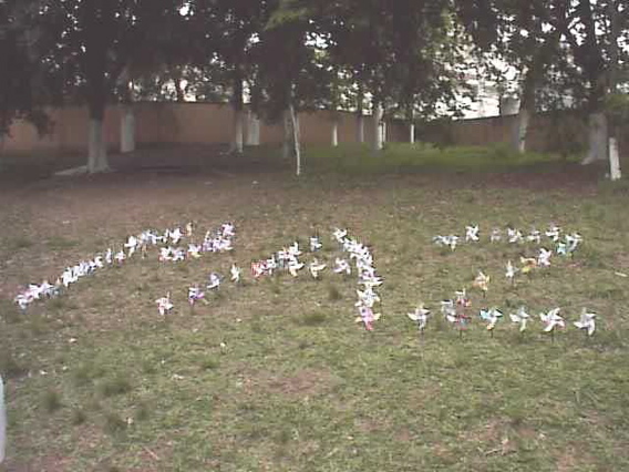 cataventos2