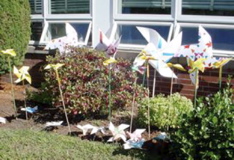 pinwheels in garden
