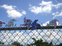 pinwheels sunny day