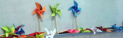  pinwheels 40629