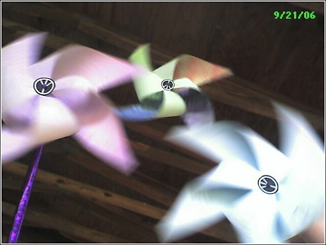 pinwheels for peace
