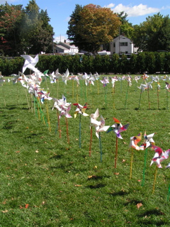 Pinwheels for peace 2006 008