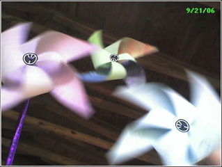 pinwheels for peace