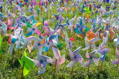 Pinwheels 003