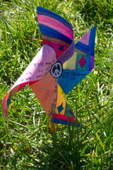 Pinwheels 013