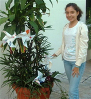 pinwheels 030