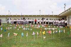 pinwheels for peace17