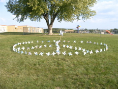 Pinwheels for Peace 001