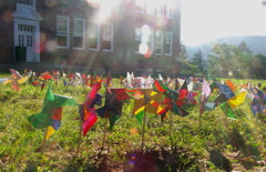 pinwheelssuncropsml