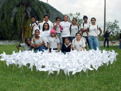 cata_ventos_2