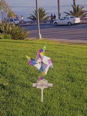 Pinwheel for Peace 2