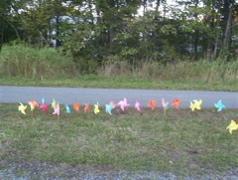 Whirled Peace, Sept. 21, 2005 020