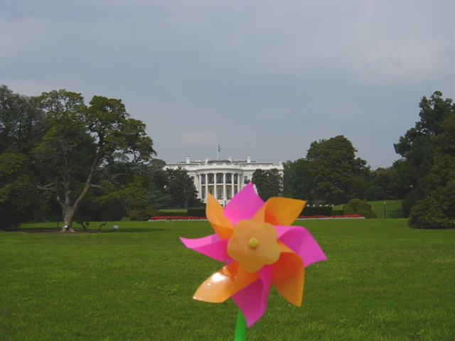 Pinwheel at White House