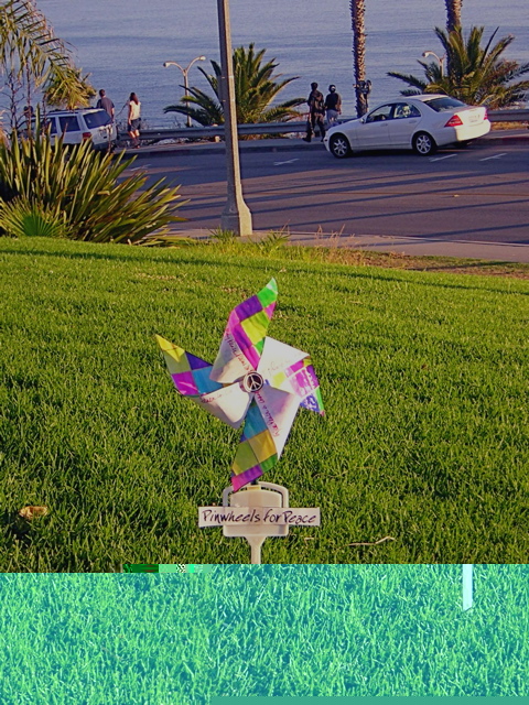 Pinwheel for Peace 2