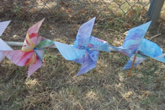 pinwheels 040