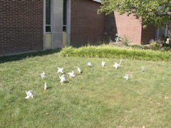 Stevenson School, Bloomingt