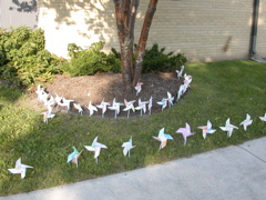 pinwheels