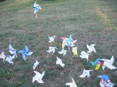 pinwheels