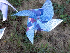 pinwheelcloseup