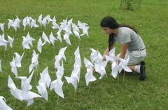 cata_ventos_3