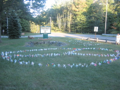 pinwheels 001