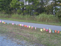 Whirled Peace, Sept. 21, 2005 021